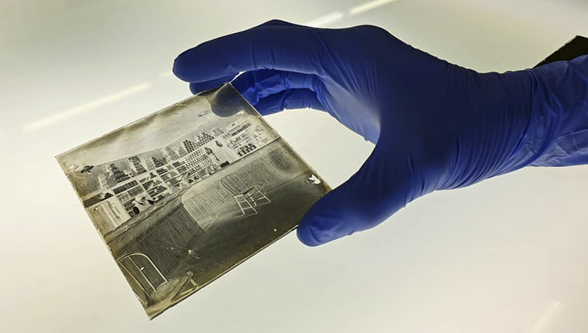 eass-conservacion-galeria-05