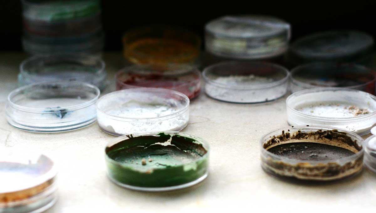 eass-conservacion-galeria-06