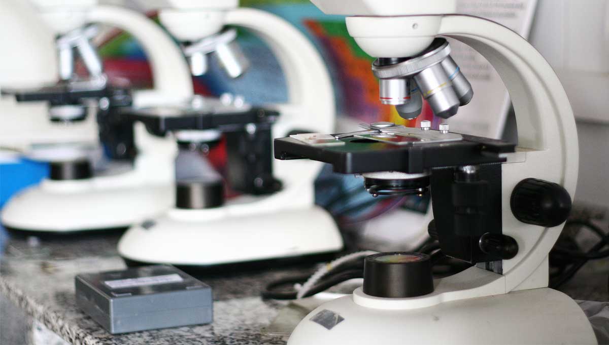 eass-conservacion-galeria-07